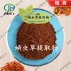 Extrato de Cordyceps Militaris, Pó de Cordyceps Militaris, Pó Concentrado de Cordyceps Militaris, Jin Heng Em Estoque