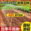 Nuevo Soporte Sólido para Invernadero para Cultivar Verduras y Plántulas Soporte Pequeño para Invernadero de Aro Poste de Fibra de Vidrio Poste de Soporte Curvo Poste de Soporte para Cobertizo Aislado