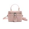 Estilo Primavera Bolso Pequeño para Mujer 2025 Nuevo de Moda Bolso Cruzado al Hombro con Cadena Bolso Cuadrado Pequeño Texity