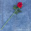 Adereços de Rosa de Canto de Cabeça Única Simulação Rosas Estilo Europeu Atacado Transfronteiriço Adereços Buquê Casamento Decoração de Casa Flores Artificiais