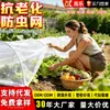Tela anti-insetos, polietileno PE, para estufas de plantas e horticultura, proporcionando proteção densa para árvores frutíferas; pode ser cortada no tamanho; tela de malha fina