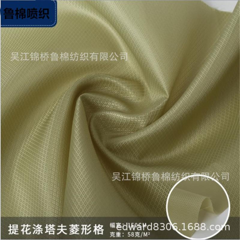 格子尼龙涤塔夫提花15.JPG