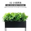 Jardineras para Plantas y Flores, Maceteros de Exterior, Soportes de Flores Divisorios para Oficinas de Ventas, Camas de Flores con Vegetación, Combinaciones de Flores Artificiales y Plantas Verdes