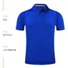 Algodão de Seda de Gelo Roupa de Trabalho Manga Curta Gola Lapela Camiseta Verão Grupo Empresarial Construção de Equipe Cultura Camisa Polo Roupa de Trabalho Impressão de Logotipo Formulação