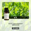 Aceites Esenciales de Aromaterapia Solubles en Aceite Chinos al por Mayor Velas de Aromaterapia Románticas para Parejas Piedra Difusora Aceites Esenciales de Aromaterapia de Plantas Especiales