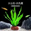 Plantas de Acuario, Decoraciones de Paisajismo con Césped Real, Plantas Aptas para Principiantes, Crisantemo Verde Ciempiés, Plantas de Sombra, Piedra Volcánica, Plantas Verdes Purificadoras de Agua