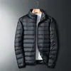 Chaqueta de plumón ligera de pato blanco suelto de alta calidad para hombre, corta, talla grande, cuello alto, brillante, deportiva, juvenil, con capucha