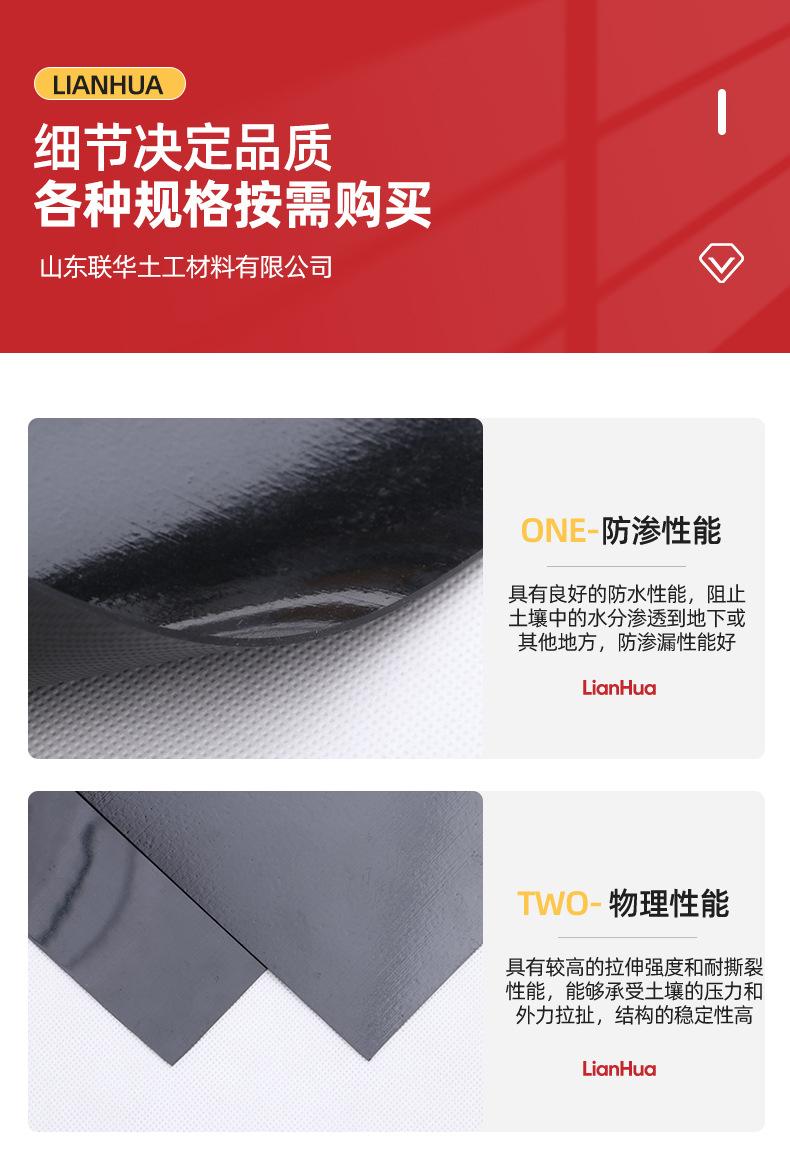 8土工膜_05.jpg