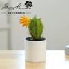 Maceta de Plástico con Flor Falsa, Suculenta Artificial Cactus Tropical Bonsái, Pequeños Adornos Creativos, Suministro Directo de Fábrica de Plantas Verdes