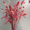 Flor Preservada Grama Pequena Grama Diamante Flor Imortal Buquê de Flores Secas Fabricante Atacado Enfeites de Mesa Decoração de Sala de Estar em Casa