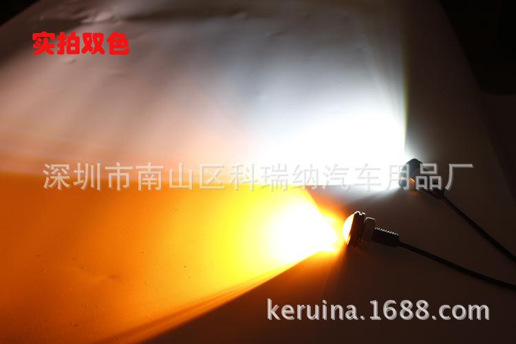 2784319565_1892264406