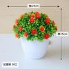 Plantas Simuladas Pequenas Frescas Hemisféricas Envasadas Ornamentos Decoração Interna e Externa Conjunto Bonsai Artificial de Mesa Flores Artificiais Atacado