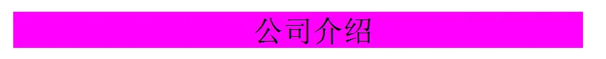 公司介绍