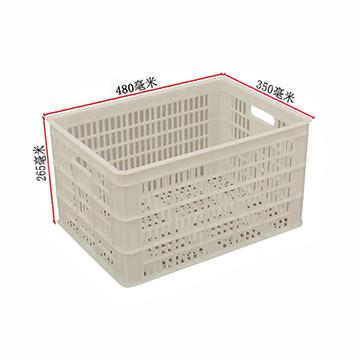 白色360