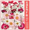 Paquete de Materiales DIY de Flores Secas Flores Prensadas Hechas a Mano Flores Conservadas Marcadores de Libros de Flores Prensadas Hojas de Árbol Real Plantas Pegatinas de Resina Maquillaje Facial