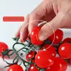 Tomates Cereza Simulados en un Hilo, Mini Tomates Cereza de Espuma Coloridos, Tomates de Fruta Falsos, Accesorios para Escaparates, Ayudas para Fotografía y Educación Temprana, Plástico
