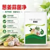Cebolleta Jengibre Ajo Hongo Red Cebolleta Ajo Jengibre Inoculante Microbiano Especial Prevención y Control Agrícola de Enfermedades de Punta Quemada Hoja Amarilla Moho Gris