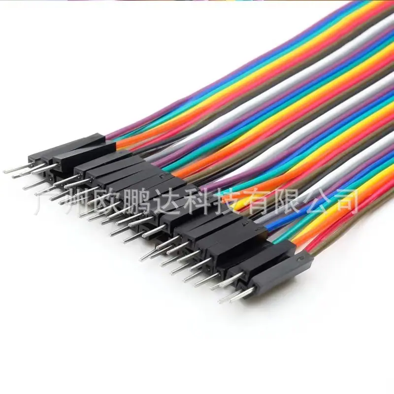 杜邦彩排4