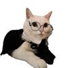 Capa para mascota de Harry Potter para fotografía, capa de la Academia de Magia, capa para perro o gato pequeño de peluche.