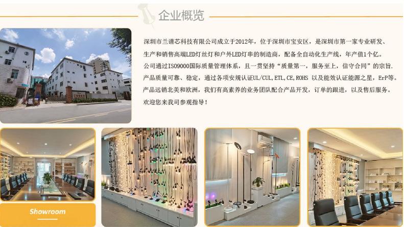 企业概览