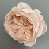 Flor Artificial Cabeza de Flor Rosa Austin Flor Artificial Flor de Seda Material de Decoración Rosa Cabeza de Flor DIY Modelado de Arreglo Floral