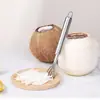Raspador de Pulpa de Coco Herramienta de Acero Inoxidable para Raspar Hojuelas de Coco y Extraer Pulpa de Coco, Rallador Rápido de Cocina para el Hogar