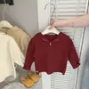 Suéter de Ropa Infantil Coreana 2025 Primavera y Otoño Nuevo Estilo Niñas Color Sólido Casual Tejido Superior Chaqueta con Capucha y Cremallera para Bebé