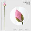 Flor de Loto Artificial Flor de Loto Nueva China Flor Falsa Hoja de Loto Decoración de Cúpula de Loto Decoración de Jarrón de Sala de Estar Accesorios para Sesión de Fotos
