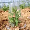 Cubierta Protectora para Plántulas, Campana Protectora para Plantas en Forma de Cono, Protección para Jardín de Flores contra Pájaros y Daños por Heladas, Invernadero Transparente Aislado