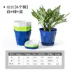 Maceta de Plástico de Planta Verde Nueva Transfronteriza Suculenta Maceta de Resina Gruesa Grande Simple Nórdica Aloe Vera