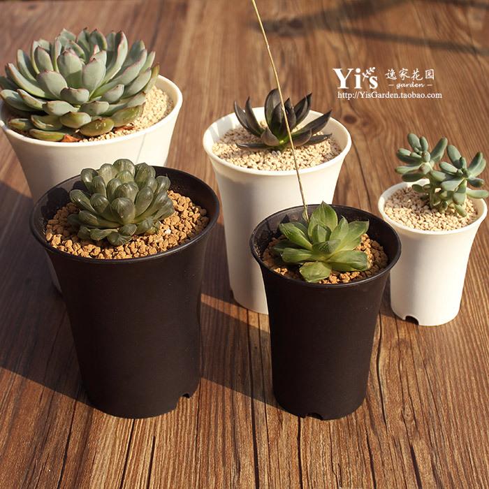 TB2GJZTepXXXXbFXXXXXXXXXXXX_!!