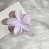 2025 Estilo Novo Transfronteiriço Presilha de Cabelo de Frangipani Borrada Padrão de Fluxo Flor de Celebridade da Internet Presilha de Cabelo de Alta Qualidade Elegante Dali
