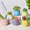 Vaso de Cerâmica Flor Fresca Macaron Casa Cor Sob Esmalte Vaso para Plantio Combinado de Suculentas Vaso de Cerâmica com Planta Verde Simulada