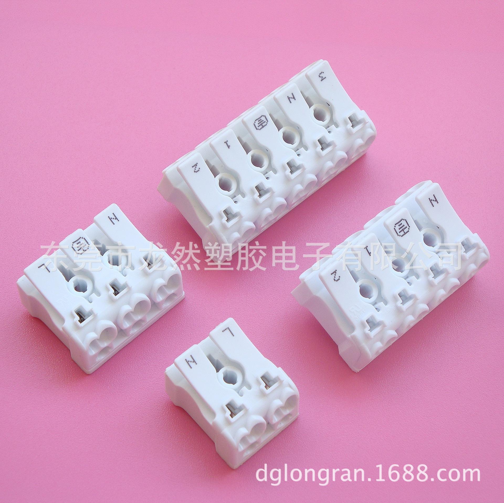 DSC09800