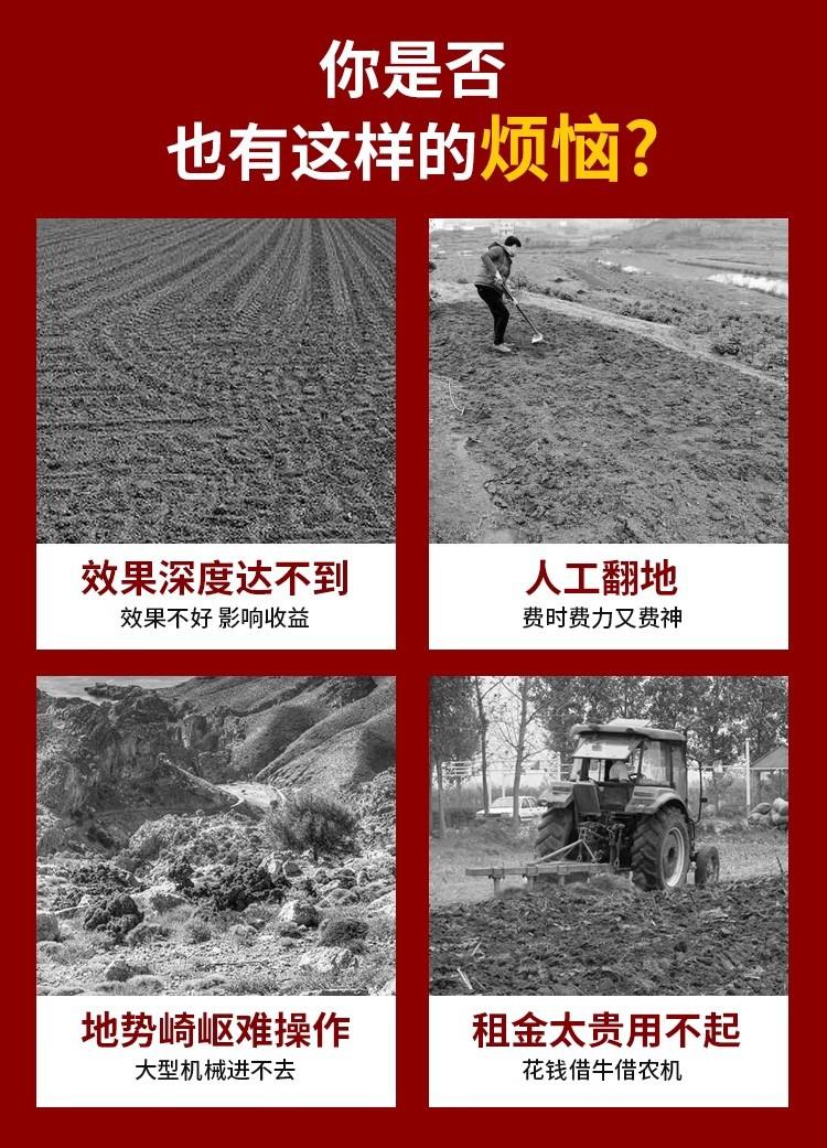 详情图03