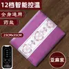 Paquete de Sal Calefactable Eléctrico para Moxibustión, Bolsa de Moxibustión de Sal Marina Gruesa para Todo el Cuerpo, Paquete de Fumigación con Mugwort de Terciopelo para Protección de la Cintura, Bolsa de Sal de Moxibustión para Moxibustión Tibia