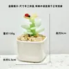 Adornos de Escritorio Hechos a Mano de Flor de Jacinto Suculento Esmaltado Decoración de Maceta de Planta Artificial de Vidrio Micro Paisaje Creativo