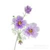 Rama individual flor grande reina cosmos gesang flor artificial flor artificial flor de seda exhibición sala de estar decoración floral de boda