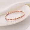 Pulseira de Aço Titânio Cravejada com Diamantes Gipsofila para Mulheres, Alto Padrão, Nicho, Não Desbota, Exquisita Cravejada com Diamantes, Pulseira Totalmente Cravejada Estilo Ins