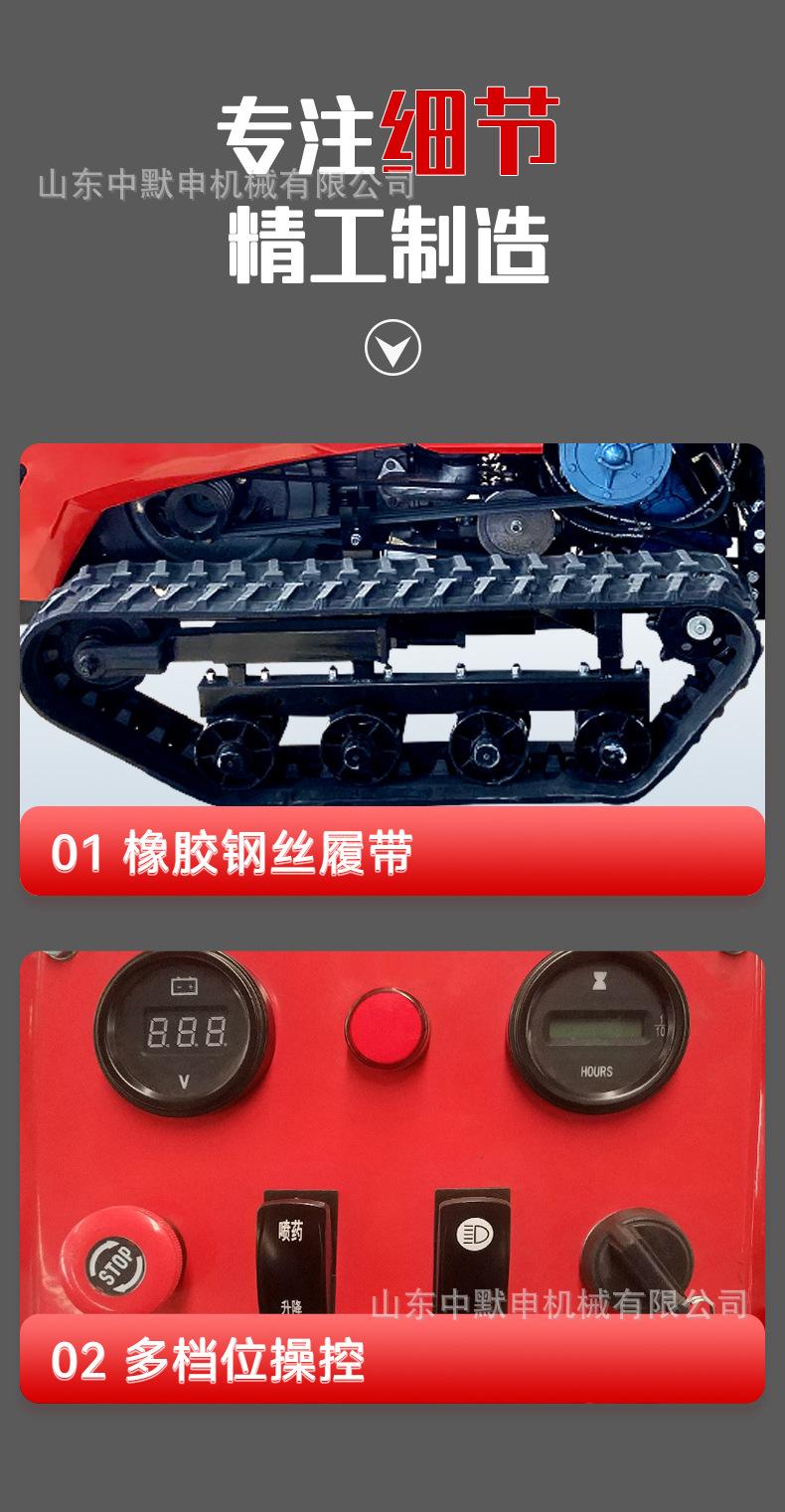 中文详情_19