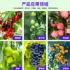 Tecido Impermeável Isolante para Árvores Frutíferas Personalizado Pomar de Cerejeiras Branco Translúcido Respirável Tecido Impermeável para Árvores Frutíferas Sem Estrutura