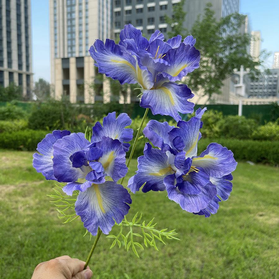 3头莫奈大鸢尾-sxrmzx-深紫蓝.JPG