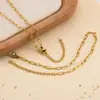 1/5 Cadena Ovalada de Acero Inoxidable Hecha a Mano con Cadena de Extensión de Langosta, Collar Pulsera de Joyería DIY Simple Producto Terminado