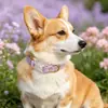 Set de Collar y Correa para Gato y Perro de Color Sólido de PVC, Set de Dos Piezas Impermeable y Resistente a la Suciedad para Mascotas, Personalizable desde la Fábrica de Origen
