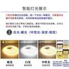 Tira de Luz LED de Neón Flexible Suave de Tres Colores 2835 de Alto Voltaje 220V 5050Rgb Venta al por Mayor Exterior Impermeable Tira de Luz 5730