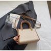 Bolsos Transfronterizos Bolsos de Mujer 2025 Nuevos Bolsos Europeos y Americanos Bolsos de Boda Bolsos de Mamá Bolsos Pequeños de Moda Versátiles de Hombro Cruzado