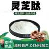 Agua Peptídica de Ganoderma Lucidum en Polvo Soluble en Agua Grado Alimenticio Ingrediente para la Salud Extracto Vegetal en Polvo Bebida Sólida Polvo Peptídico de Ganoderma Lucidum