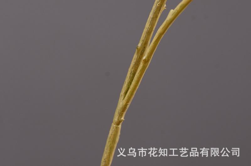 3-10粉色安迪小白果.jpg