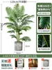 Palmera Areca Artificial Grande de Lujo de Gama Alta, Planta Verde, Árbol Falso, Planta de Bambú Cola de Fénix para Decoración de Paisajismo Tropical de Interiores