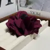 Novo Estilo de Presilha de Cabelo 2026 para Mulheres, Acessório de Cabelo de Alta Qualidade e Extremamente Bonito para a Parte de Trás da Cabeça